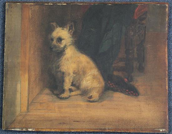 Attributed to George Armfield Study of a West Highland Terrier, 9.75 x 12.5in.